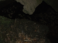 otta delle Femmine27052012 086